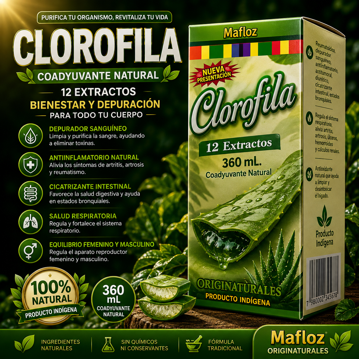 Clorofila 12 Extractos Mafloz
